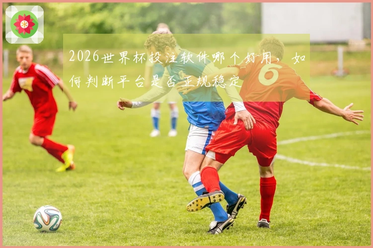 2026世界杯投注软件哪个好用，如何判断平台是否正规稳定