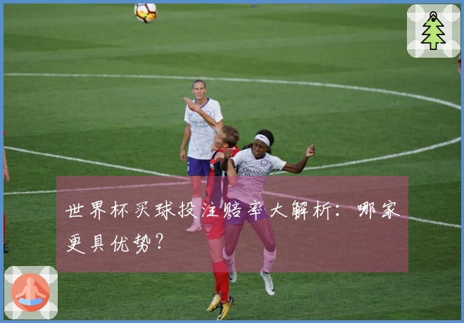 世界杯买球投注赔率大解析：哪家更具优势？