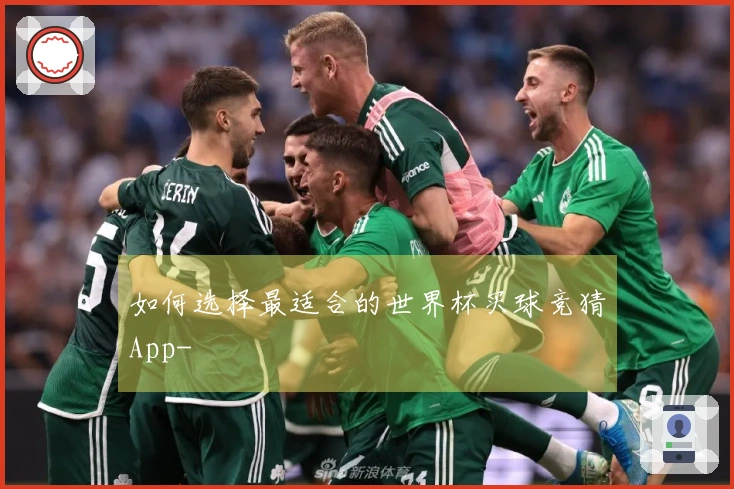 如何选择最适合的世界杯买球竞猜App-