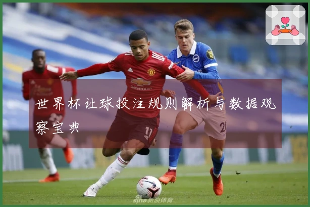 世界杯让球投注规则解析与数据观察宝典