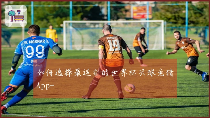 如何选择最适合的世界杯买球竞猜App-