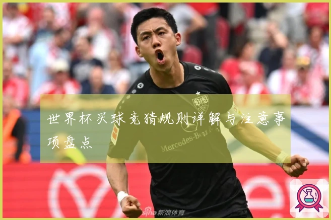 世界杯买球竞猜规则详解与注意事项盘点