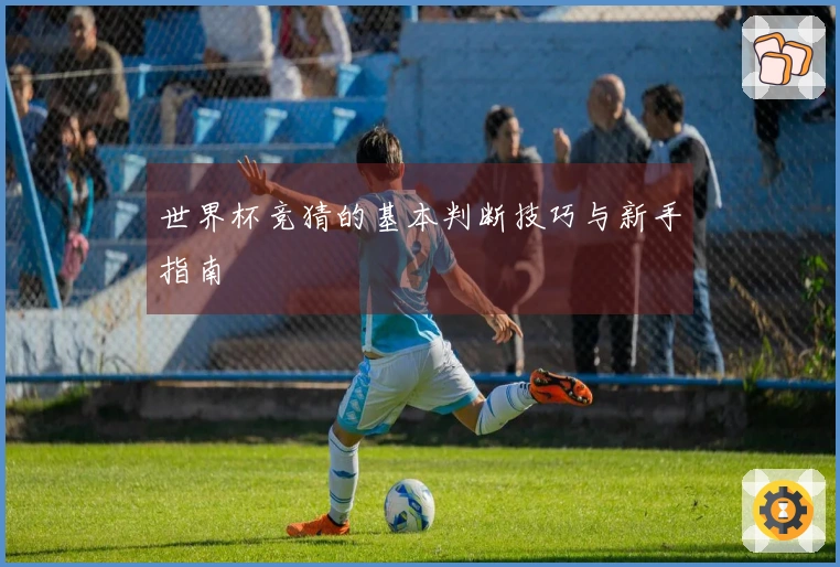 世界杯竞猜的基本判断技巧与新手指南