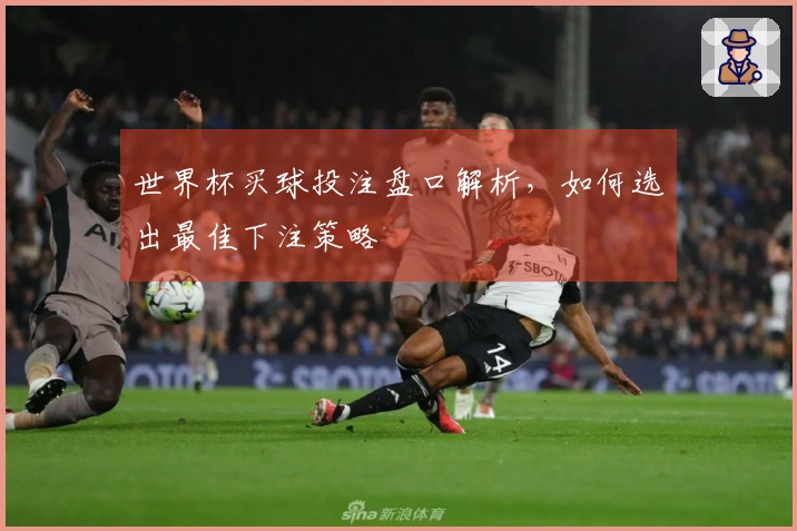 世界杯买球投注盘口解析，如何选出最佳下注策略
