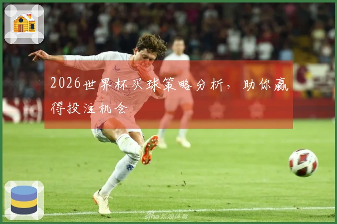 2026世界杯买球策略分析，助你赢得投注机会
