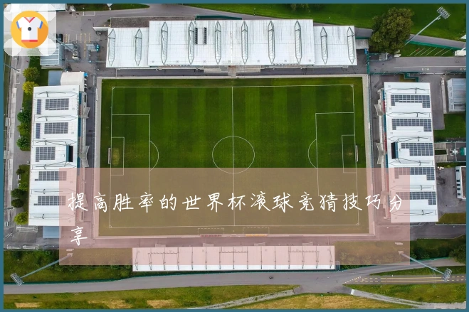 提高胜率的世界杯滚球竞猜技巧分享