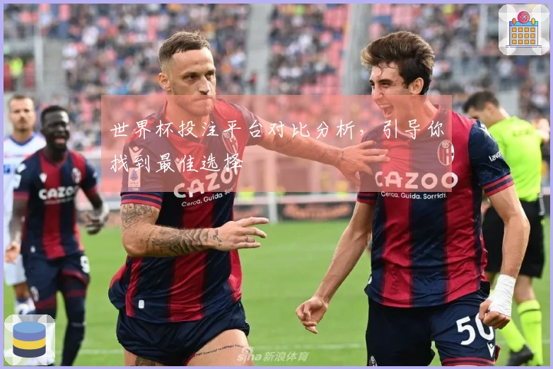 世界杯投注平台对比分析，引导你找到最佳选择
