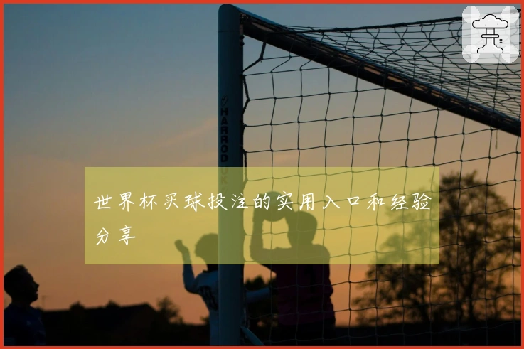 世界杯买球投注的实用入口和经验分享