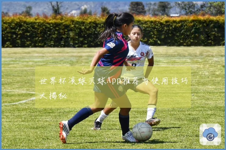 世界杯滚球买球App推荐与使用技巧大揭秘
