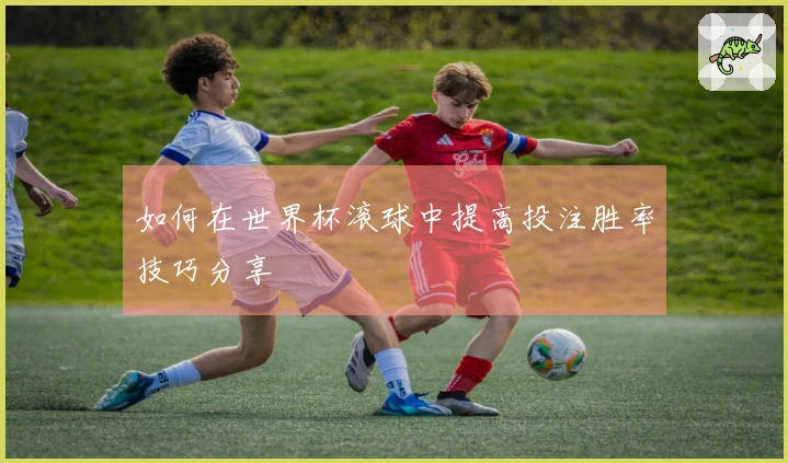 如何在世界杯滚球中提高投注胜率技巧分享