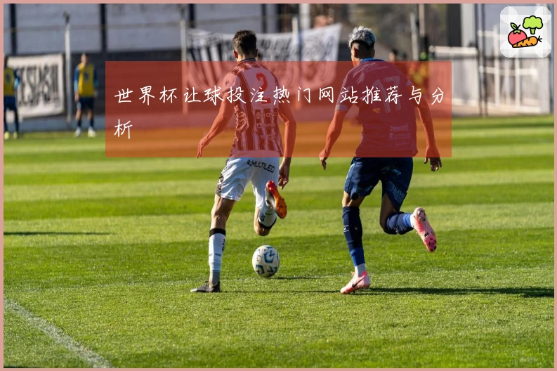 世界杯让球投注热门网站推荐与分析
