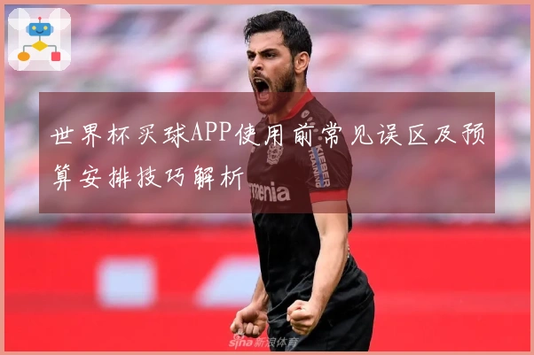 世界杯买球APP使用前常见误区及预算安排技巧解析
